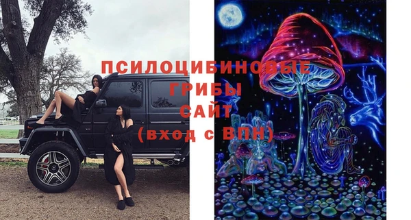 стаф Алексеевка
