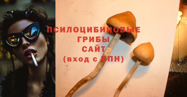 трава Пересвет