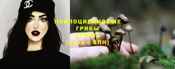 марки lsd Пестово