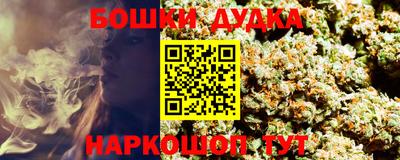 крисы Гай