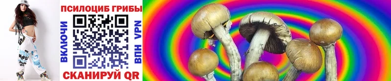ссылка на мегу как войти  Нижнеудинск  Галлюциногенные грибы GOLDEN TEACHER  где можно купить  