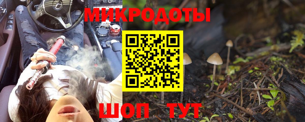 Псилоцибиновые грибы MAGIC MUSHROOMS  сколько стоит  Нижнеудинск  Вход с VPN 