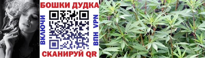 Бошки Шишки Amnesia Нижнеудинск
